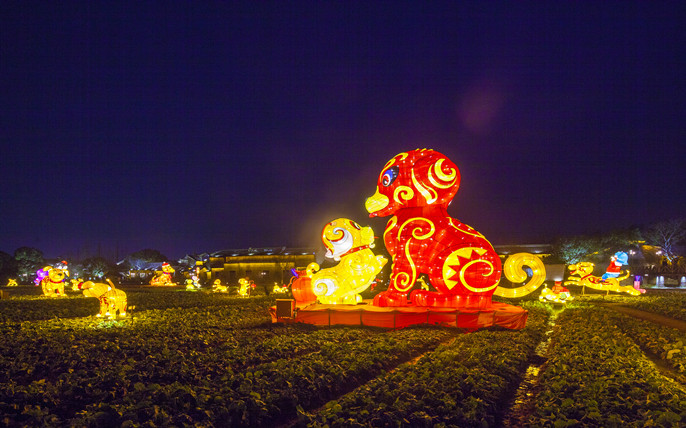 1524553561804430.jpg IMG_9674_1_副本.jpg