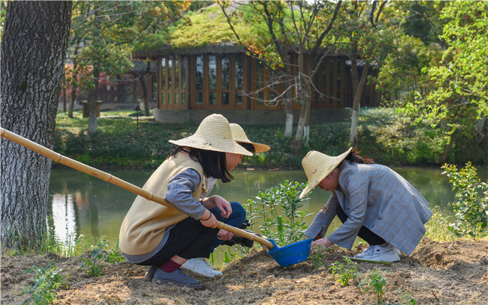 1524624452721036.jpg 烏村春季農(nóng)耕 (1).jpg