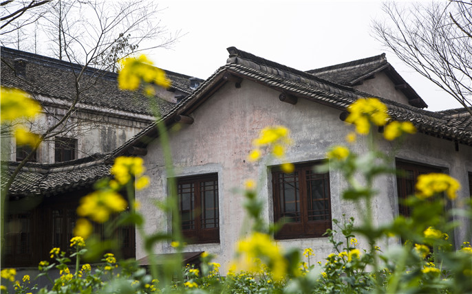 1524625808576755.jpg 烏村春季農(nóng)耕 (2).jpg