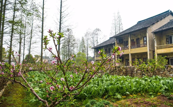 1524626045210358.jpg 微信圖片_20180425111250_副本.jpg