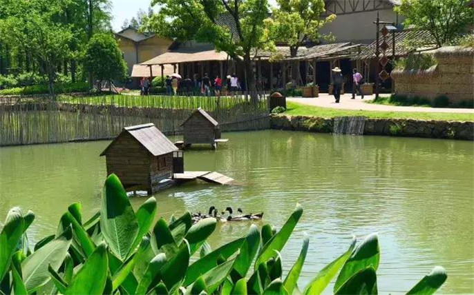 1524644580443965.jpg 19.jpg