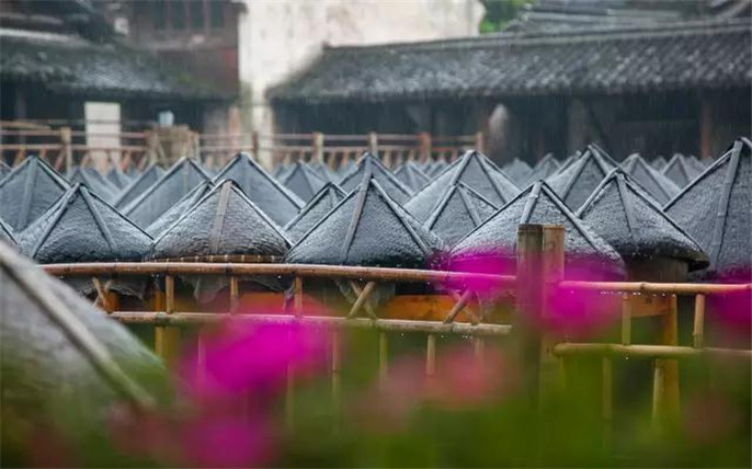 1524645002272392.jpg 45.jpg