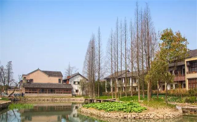 1524645090525417.jpg 51.jpg