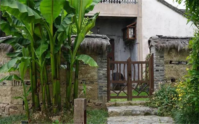 1524645114250519.jpg 52.jpg