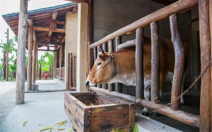 1524645184765093.jpg 56.jpg