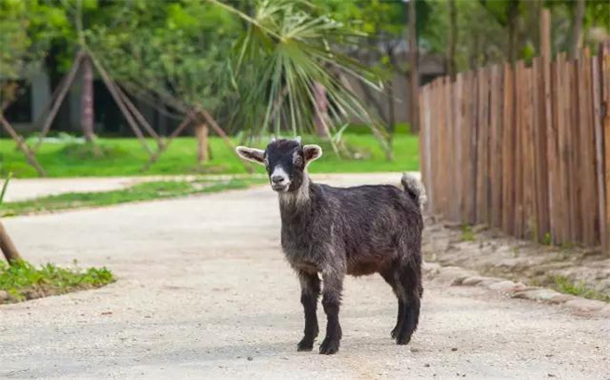 1524645199156854.jpg 57.jpg