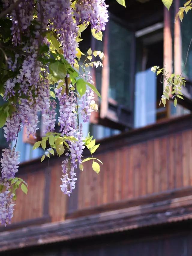 1526021248343562.jpg 16.jpg