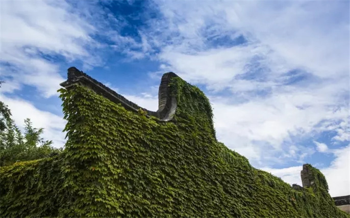 1526264180907321.jpg 3.webp_副本.jpg