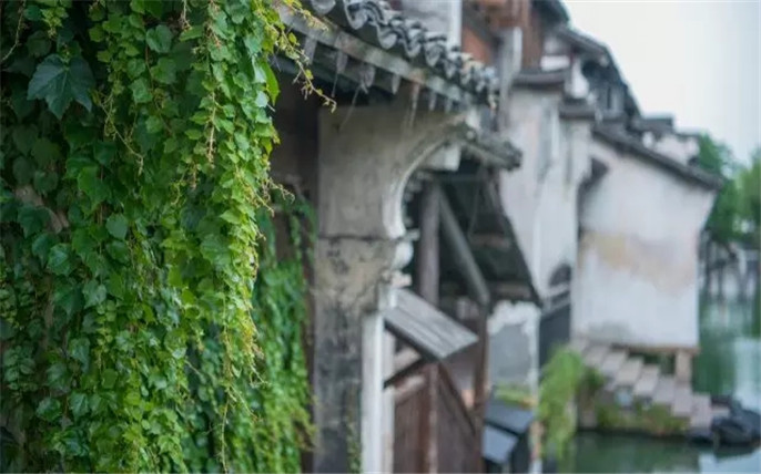 1526264698159808.jpg 23.webp_副本.jpg