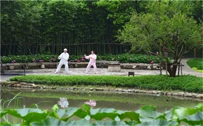 1526264723509526.jpg 24.webp_副本.jpg