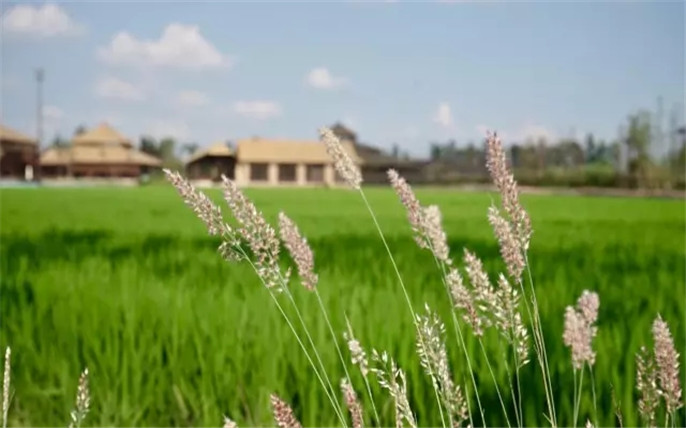 1526264730381267.jpg 25.webp_副本.jpg