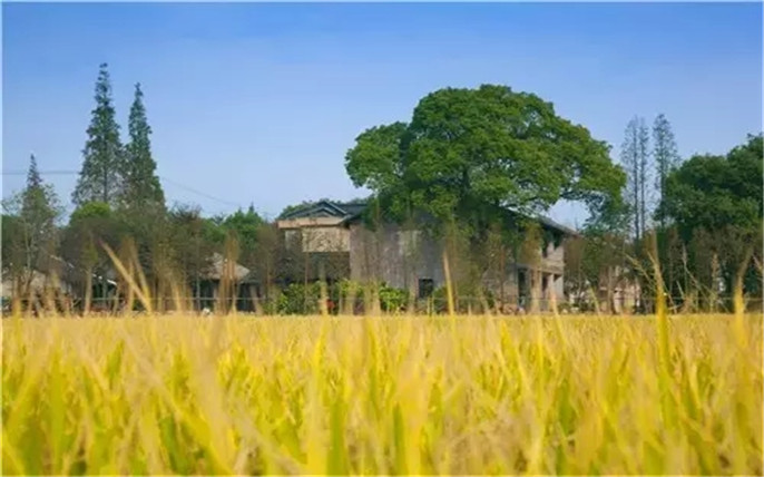 1526264745698894.jpg 26.webp_副本.jpg