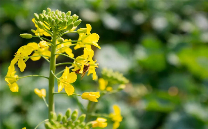 1526440428975054.jpg 1_副本.jpg