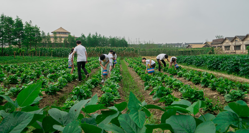 1527580836544425.jpg 合影-2_副本.jpg