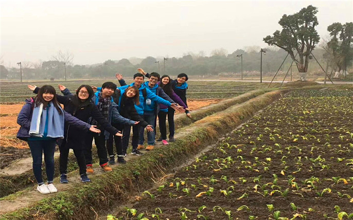 1527671950415339.jpg 1.jpg