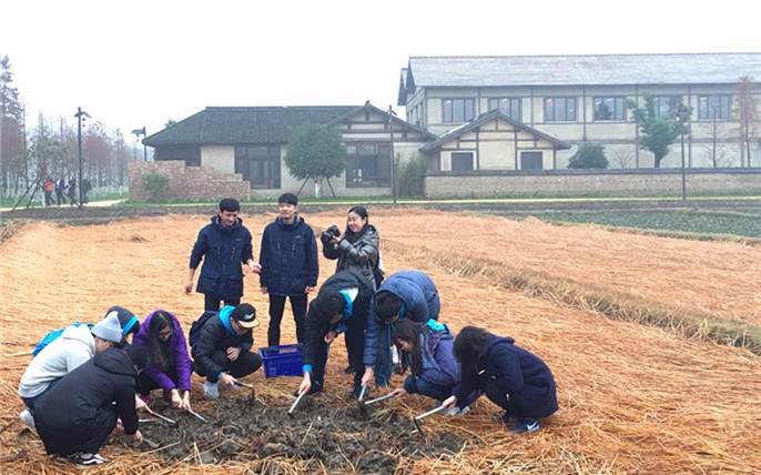 1527671989226856.jpg 2.jpg