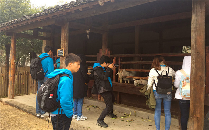 1527672015225522.jpg 4.jpg