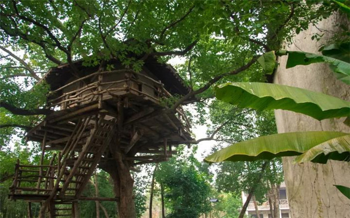 1527731473509423.jpg 16.jpg