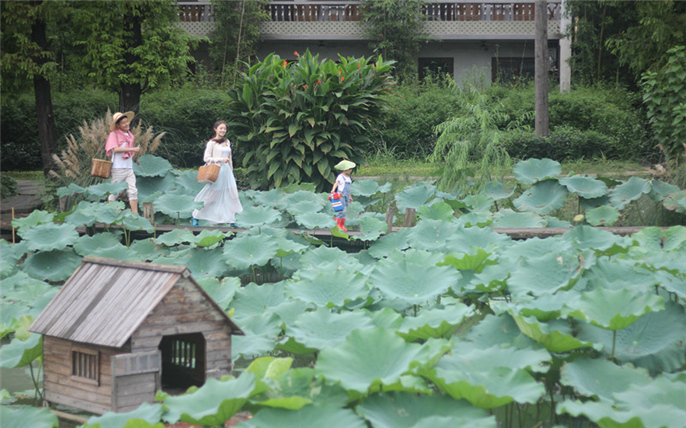 1527731560112602.jpg 1.jpg