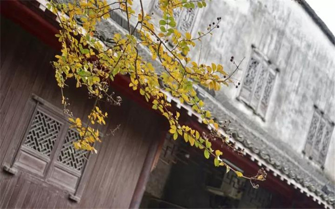 1527734646949994.jpg 1_副本.jpg