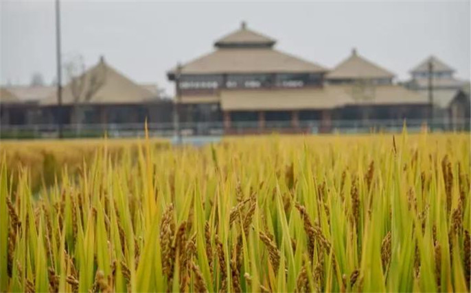 1527734652448474.jpg 2_副本.jpg