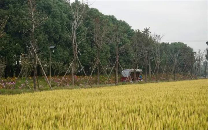 1527734668560071.jpg 4_副本.jpg