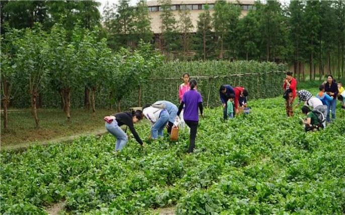 1527734739711402.jpg 12_副本.jpg