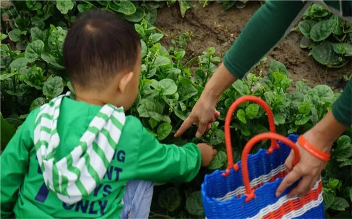 1527734744505605.jpg 13_副本.jpg