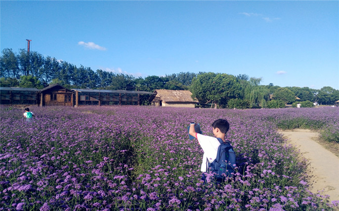 1527735453311103.jpg 4.jpg