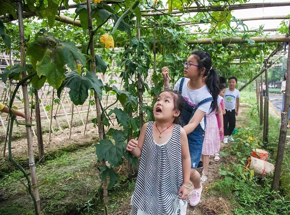 1527736130318718.jpg 4.jpg