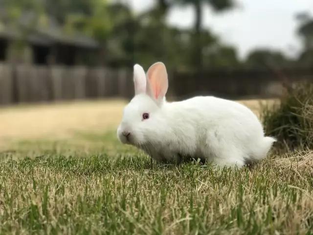 1527736175398081.jpg 7.jpg