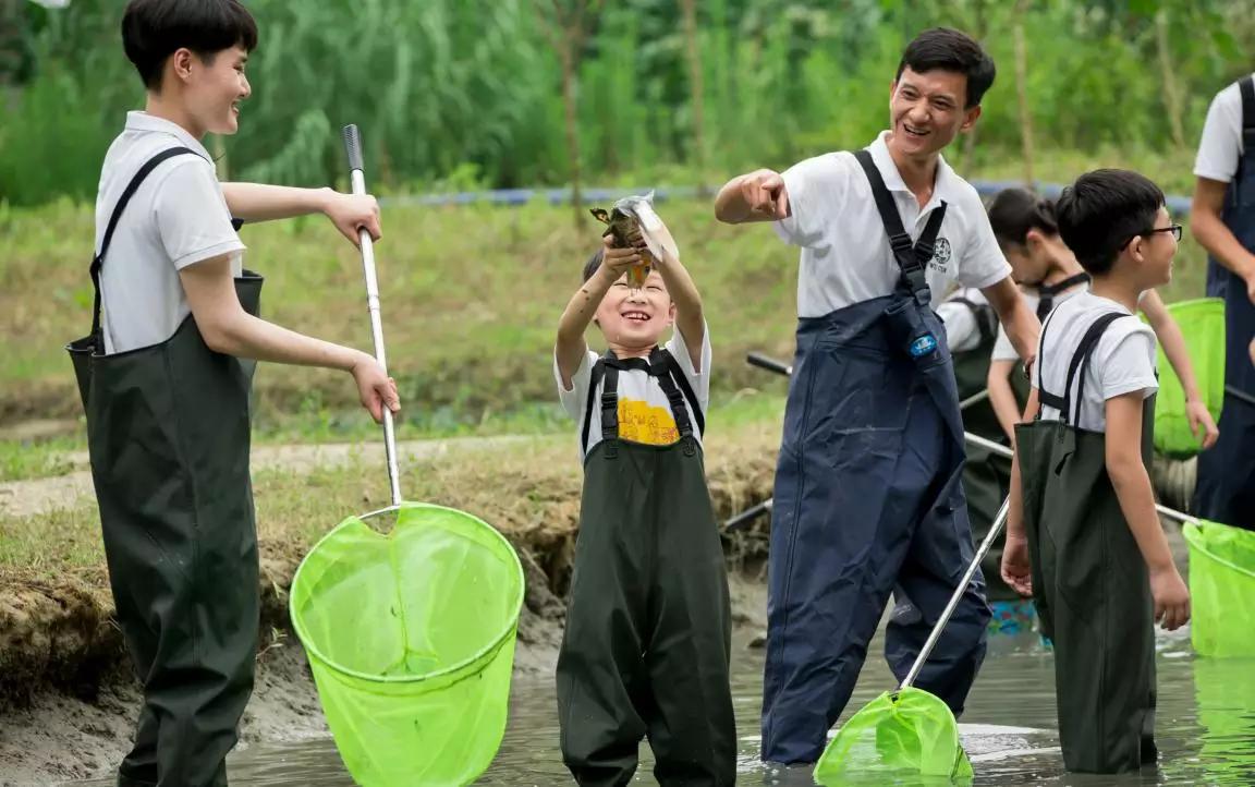 1527736247741108.jpg 10.jpg