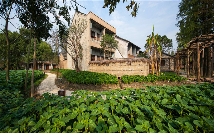 1527742620941454.jpg 7.jpg