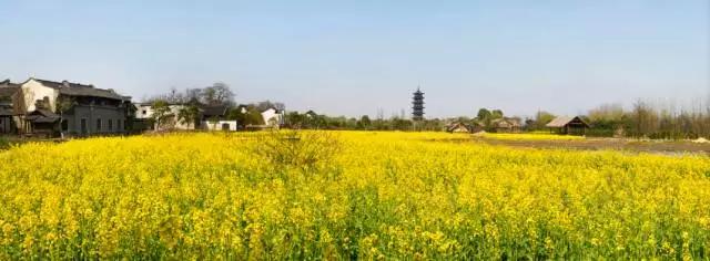 1527742847640848.jpg 6.jpg