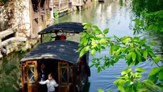 1527742855144715.jpg 7.jpg