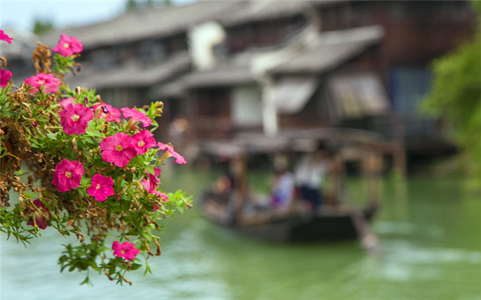 1527743620189781.jpg 20170331103114_3440.jpg