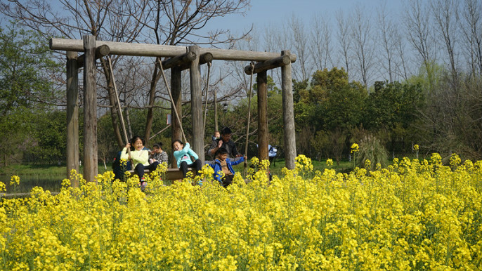 1527744688845919.jpg 2.jpg