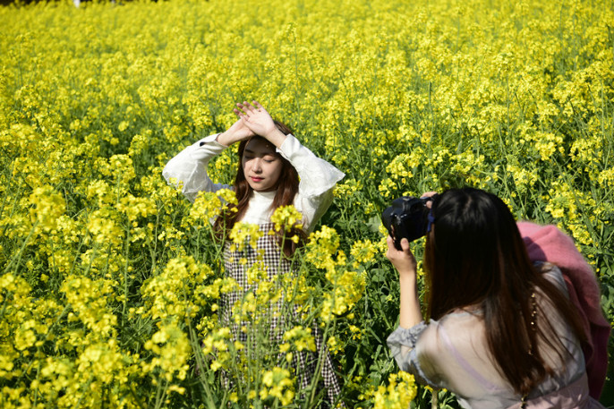 1527744704950041.jpg 3.jpg