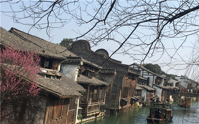 1527745208213992.jpg 1_副本.jpg