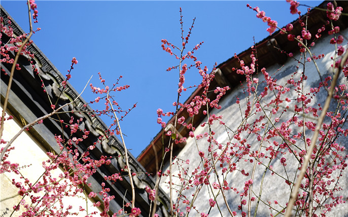 1527745218900244.jpg 2_副本.jpg