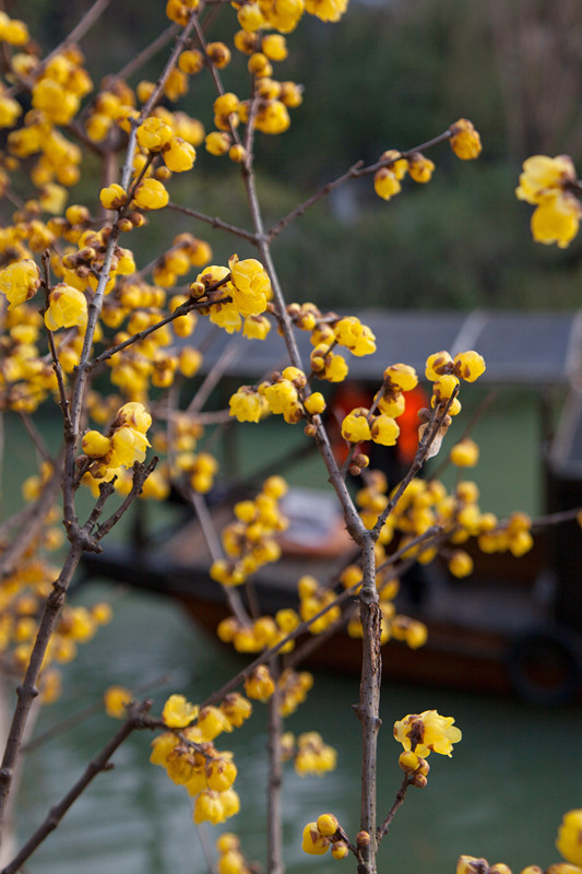 1527745287953425.jpg 4_副本.jpg