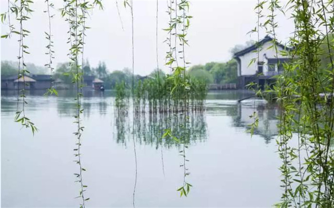 1527746232623933.jpg 1_副本.jpg