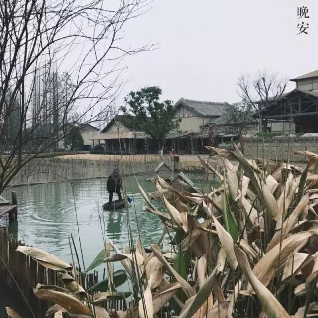 1527746260239509.jpg 4.jpg