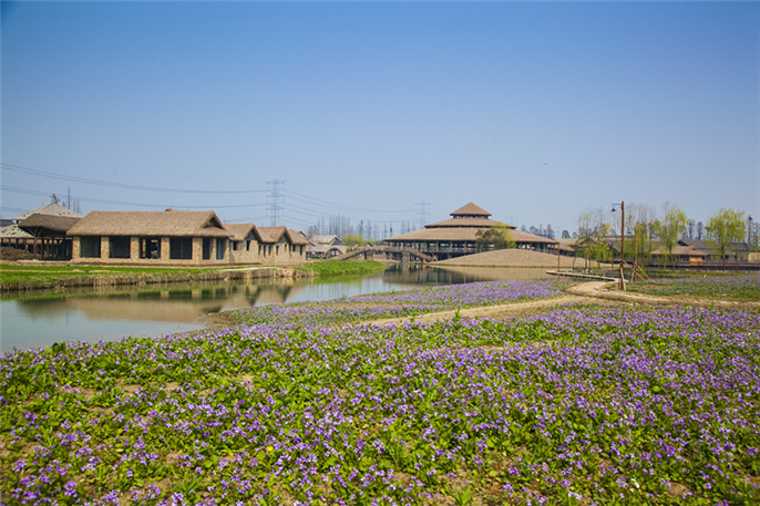 1527748153613169.jpg 1.jpg