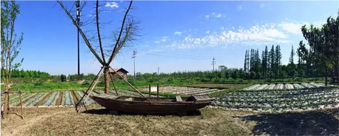 1527749142408150.jpg 5.jpg