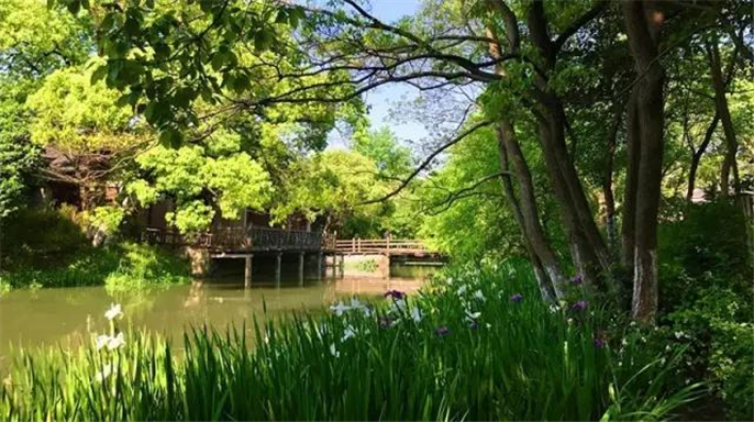 1527749146336495.jpg 6.jpg