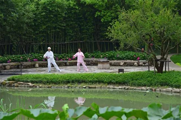 1527749160925193.jpg 7.jpg