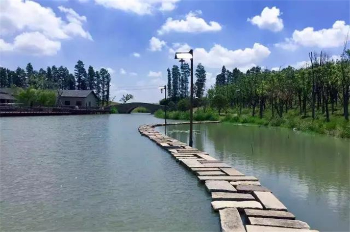 1527749175688462.jpg 8.jpg