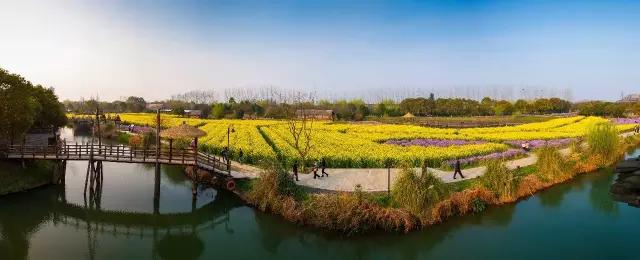 1527749792724367.jpg 20170306135058_5600.jpg