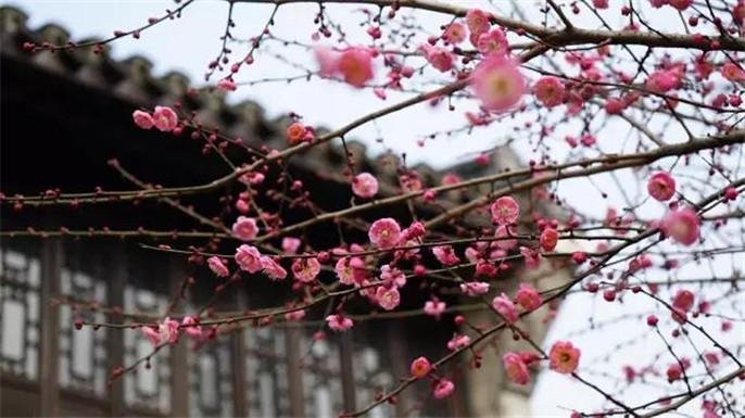 1527749868553409.jpg 20170306135323_7141.jpg